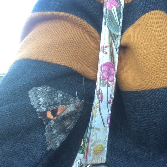 Meet your Posher, Posh - Picture 2 of 2